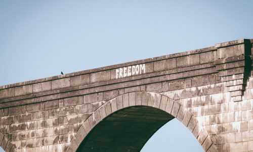 pexels-jd-photography-11304804